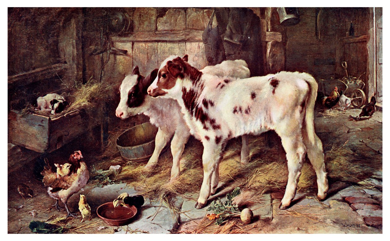 O cão na manjedoura, 1885 1901 de Unbekannt