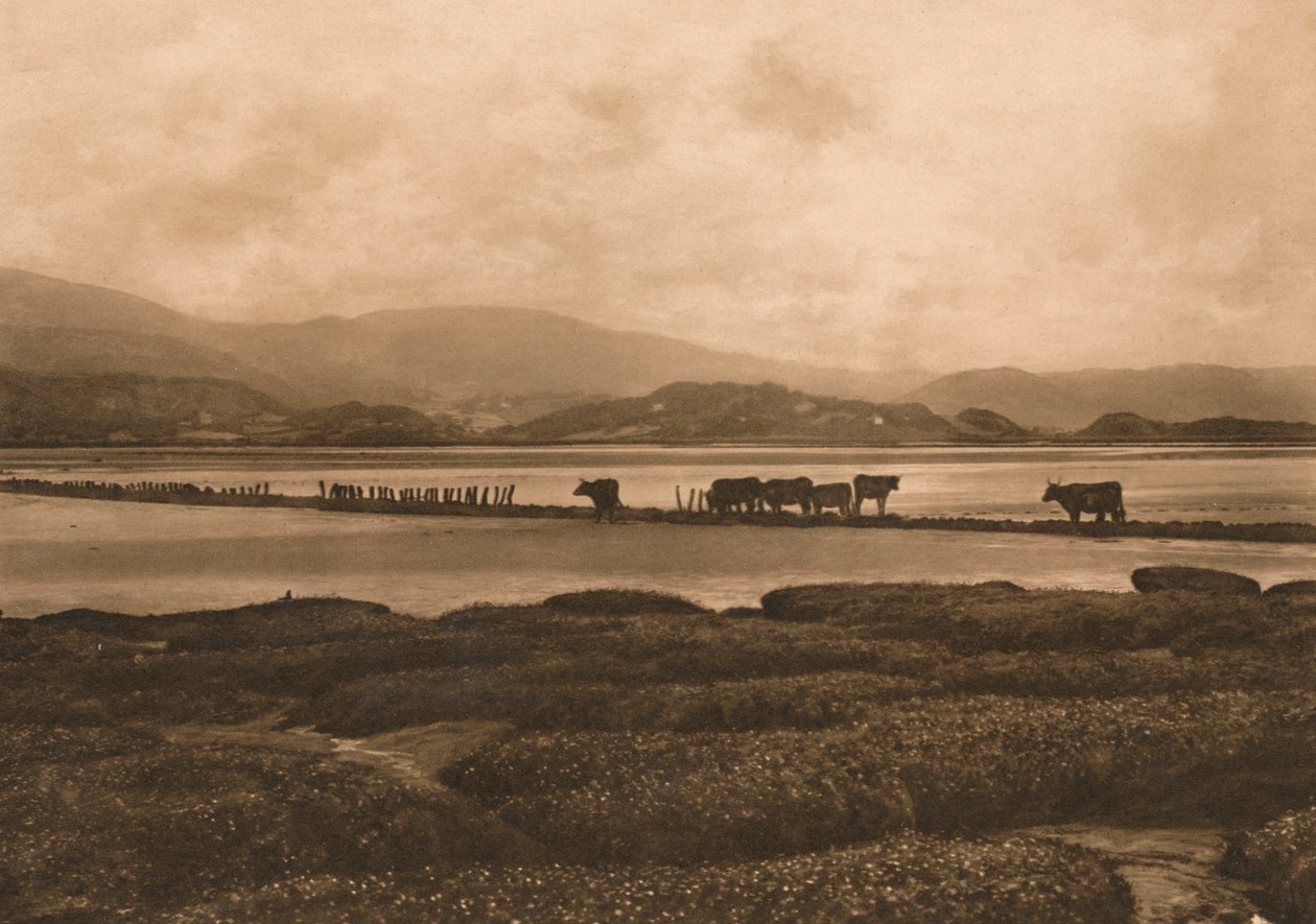 O Dovey em Ynyslas, 1902 de Unbekannt