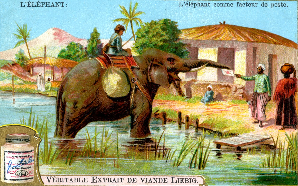O elefante como carteiro, c1900 de Unbekannt
