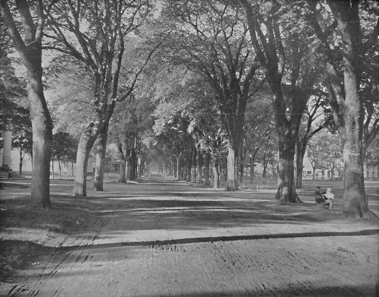 The Elms, New Haven, Connecticut, c1897. de Unbekannt