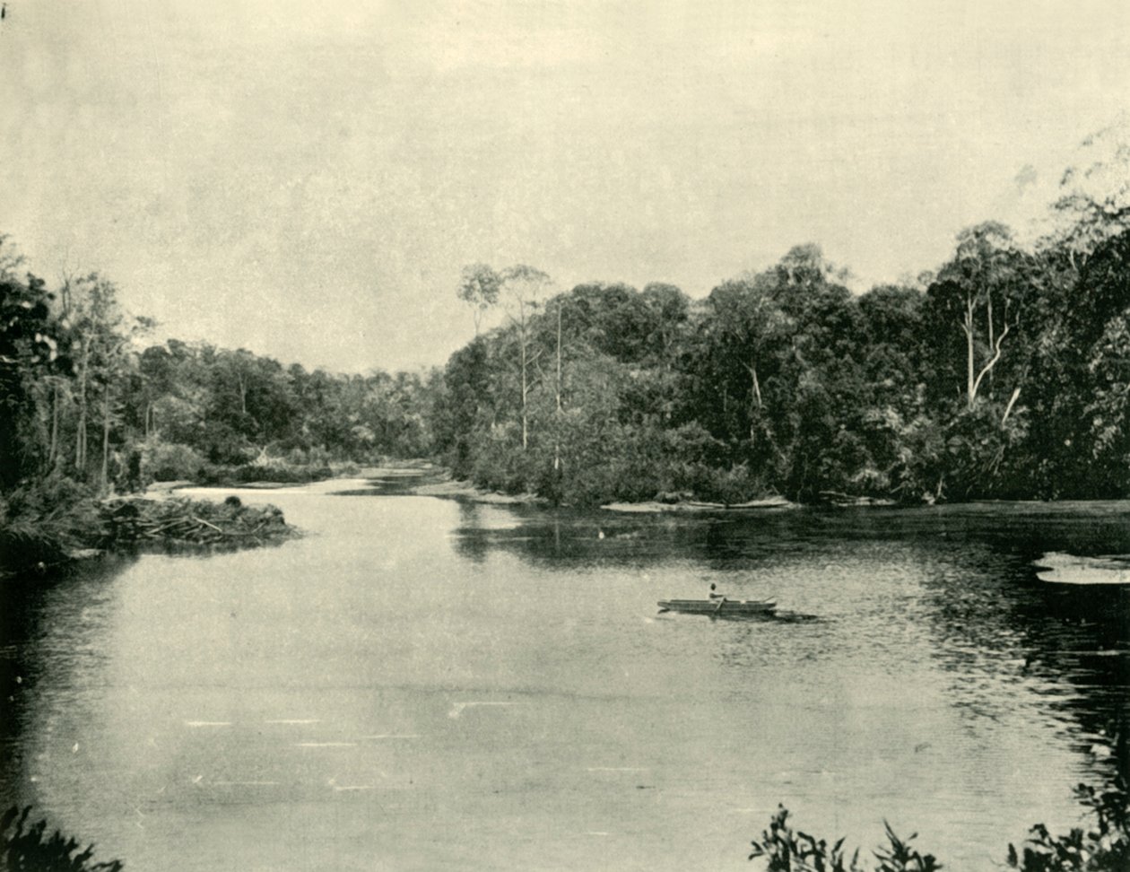 O reservatório de Ennoggera, 1901. de Unbekannt