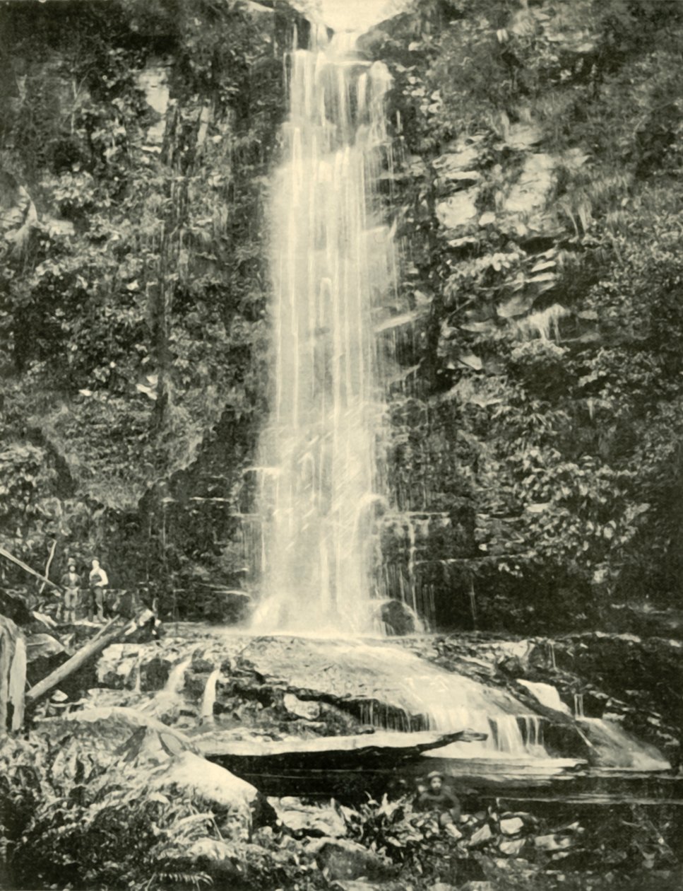 As quedas de Erskine, perto de Lorne, 1901. de Unbekannt