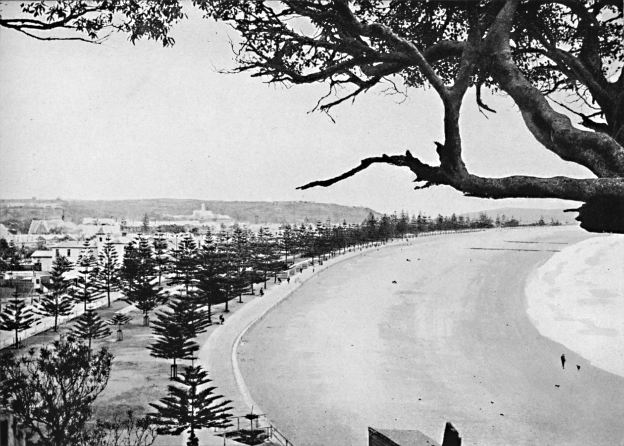 A Espanha, Manly Beach, c1900. de Unbekannt