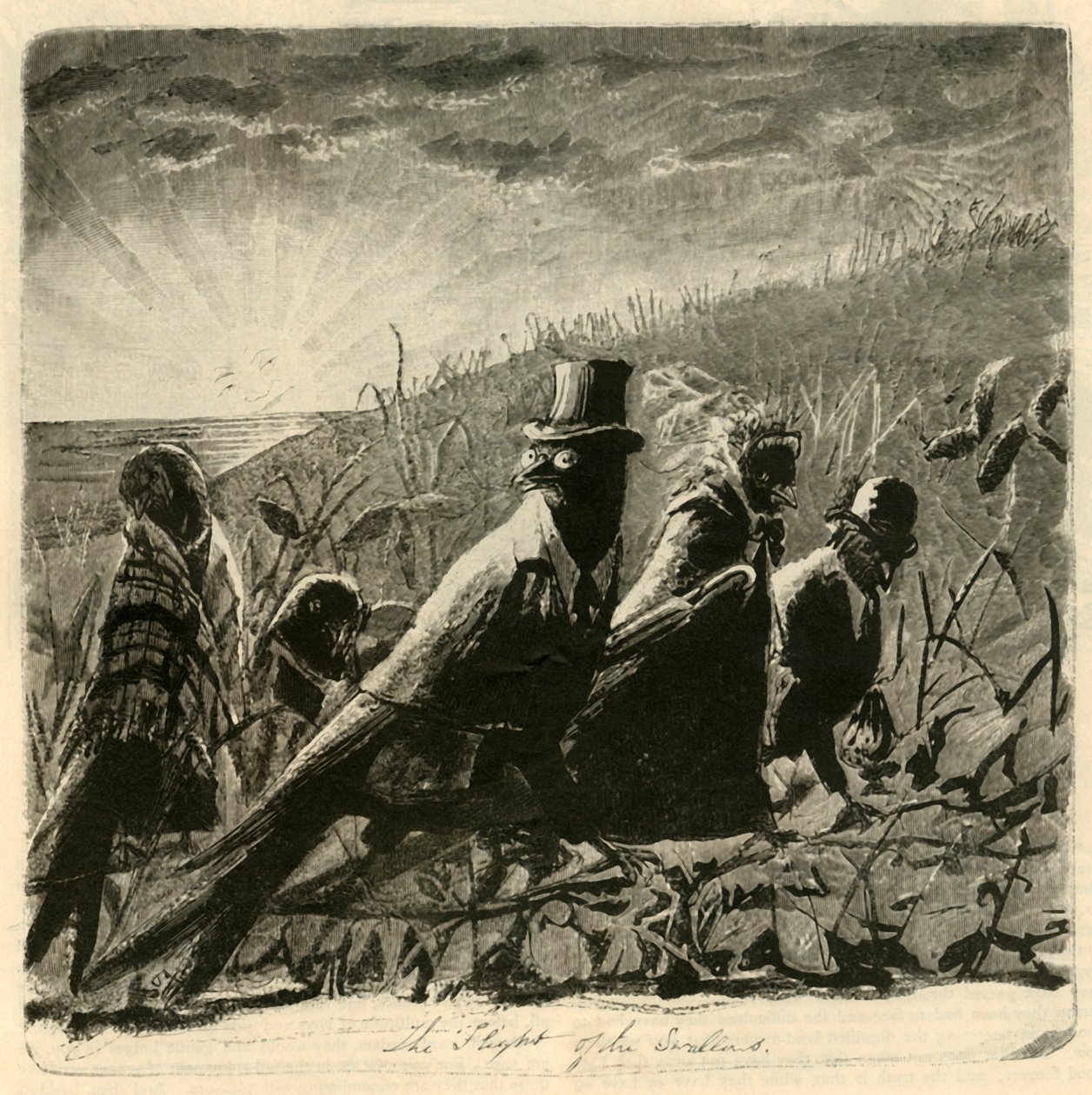 O vôo das andorinhas, 1882. de Unbekannt