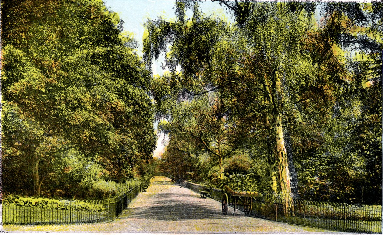 O passeio da flor, jardins de Kensington, Londres, século XX de Unbekannt