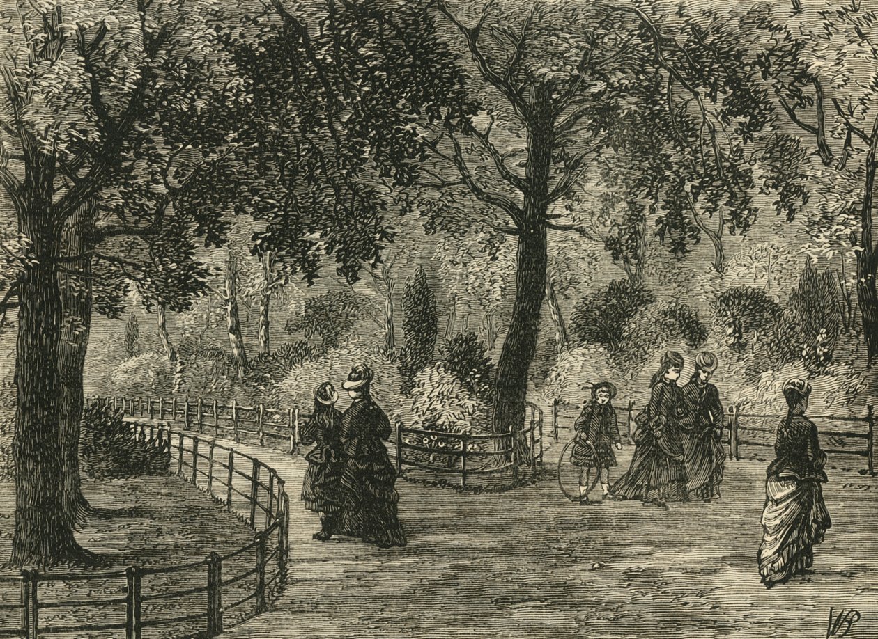 As caminhadas da flor, jardins de Kensington, c1876. de Unbekannt
