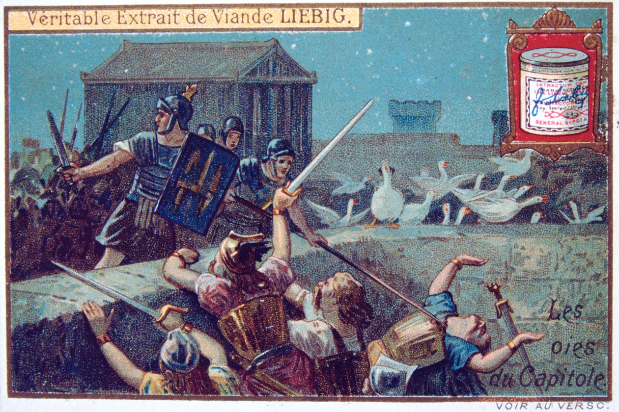 Os gansos da capital, cartão continental da Liebig, c1900 de Unbekannt