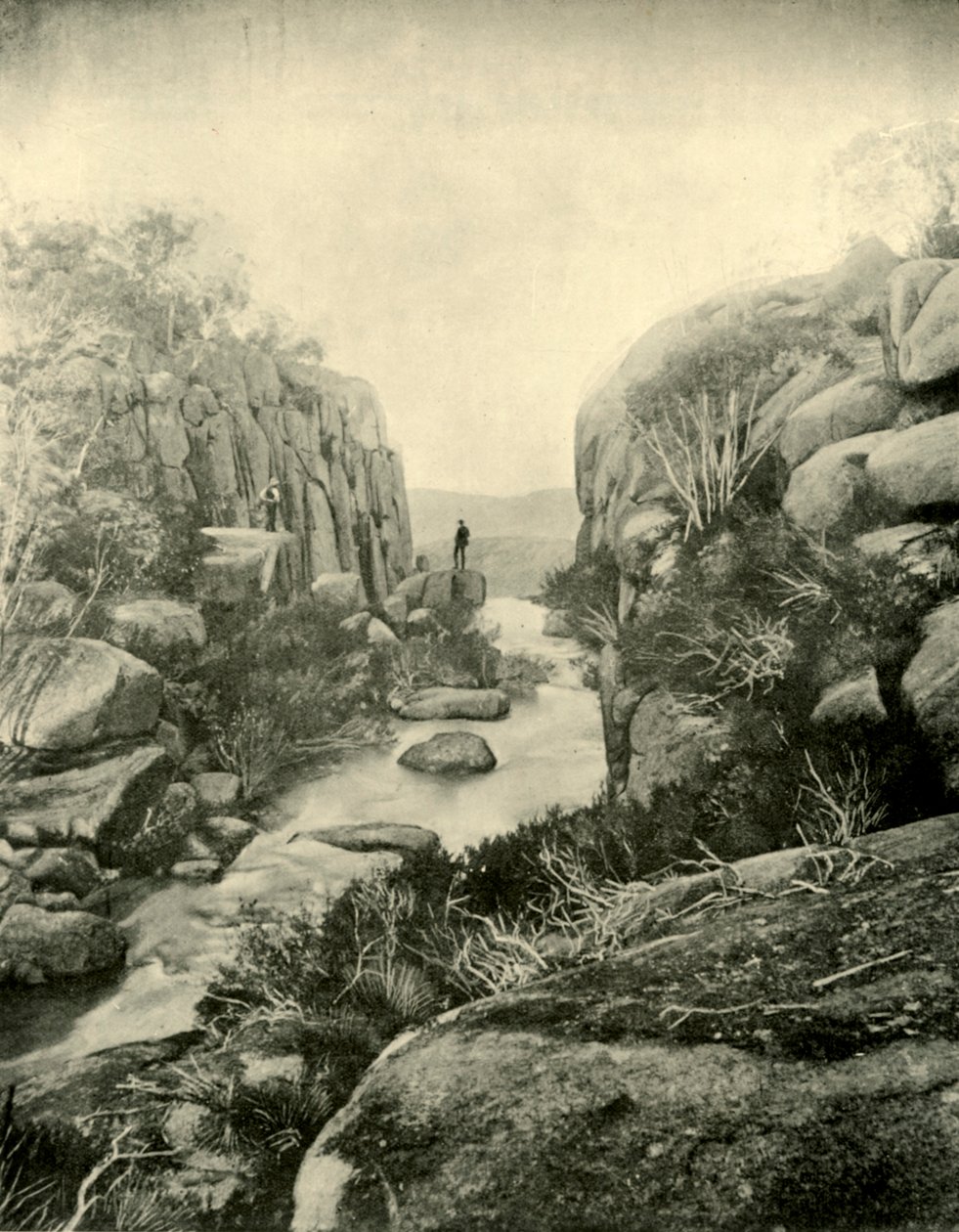O desfiladeiro, Buffalo Falls, Alpes vitorianos, 1901. de Unbekannt