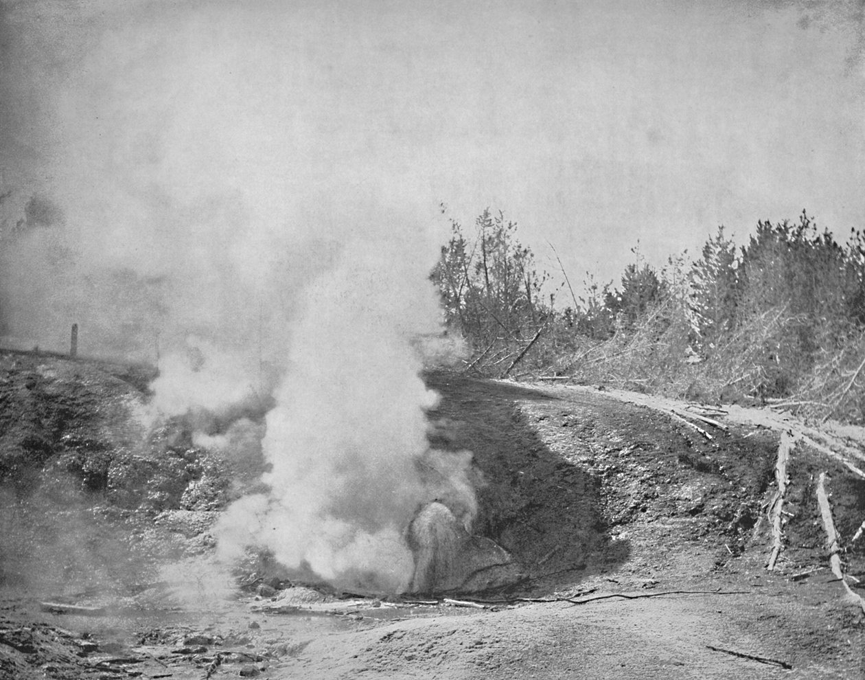 O Growler, Norris Geyser Basin, Parque de Yellowstone, c1897. de Unbekannt