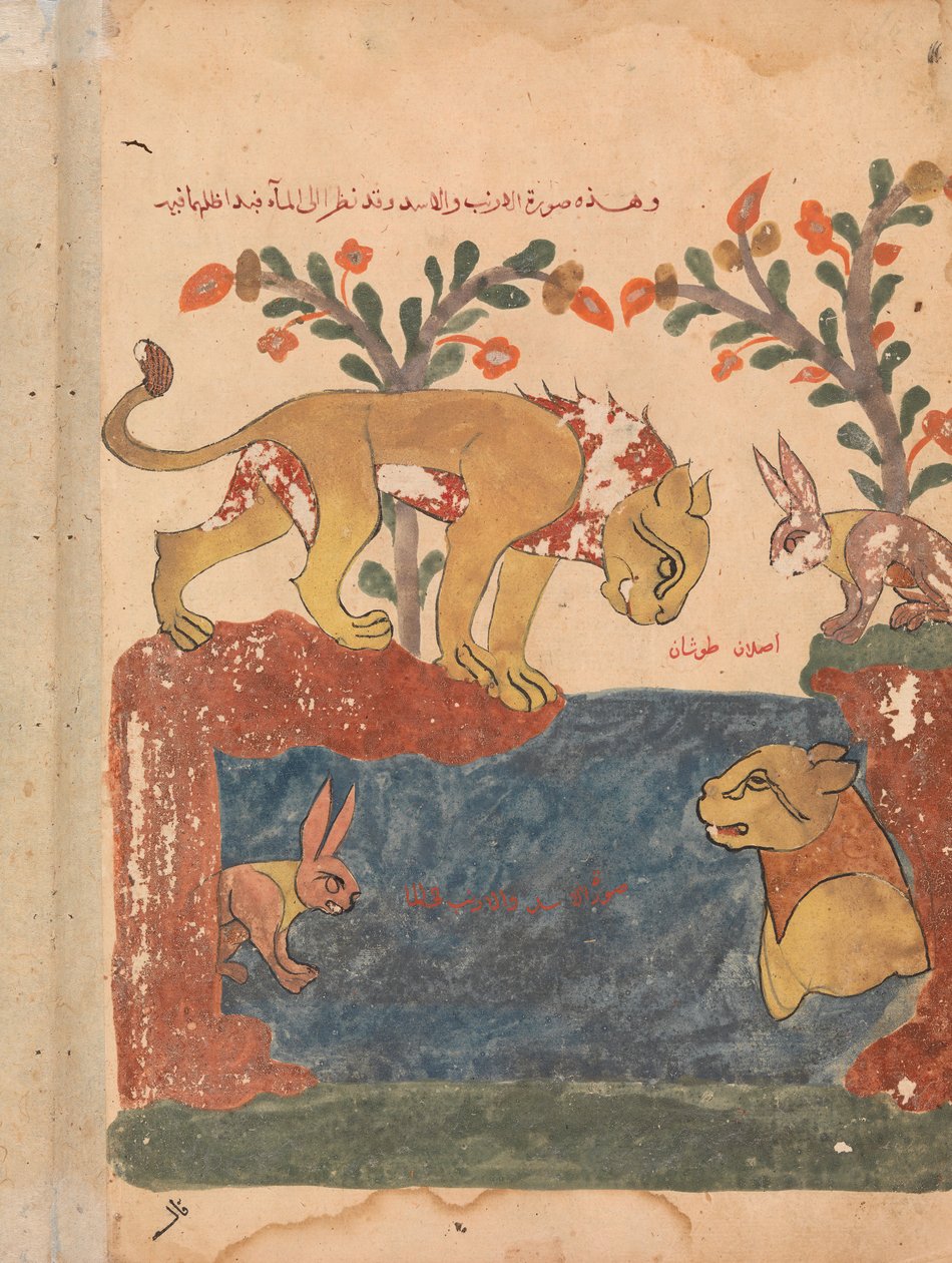 A Lebre, o Leão, e o Poço, Folio de uma Kalila wa Dimna, século XVIII. de Unbekannt