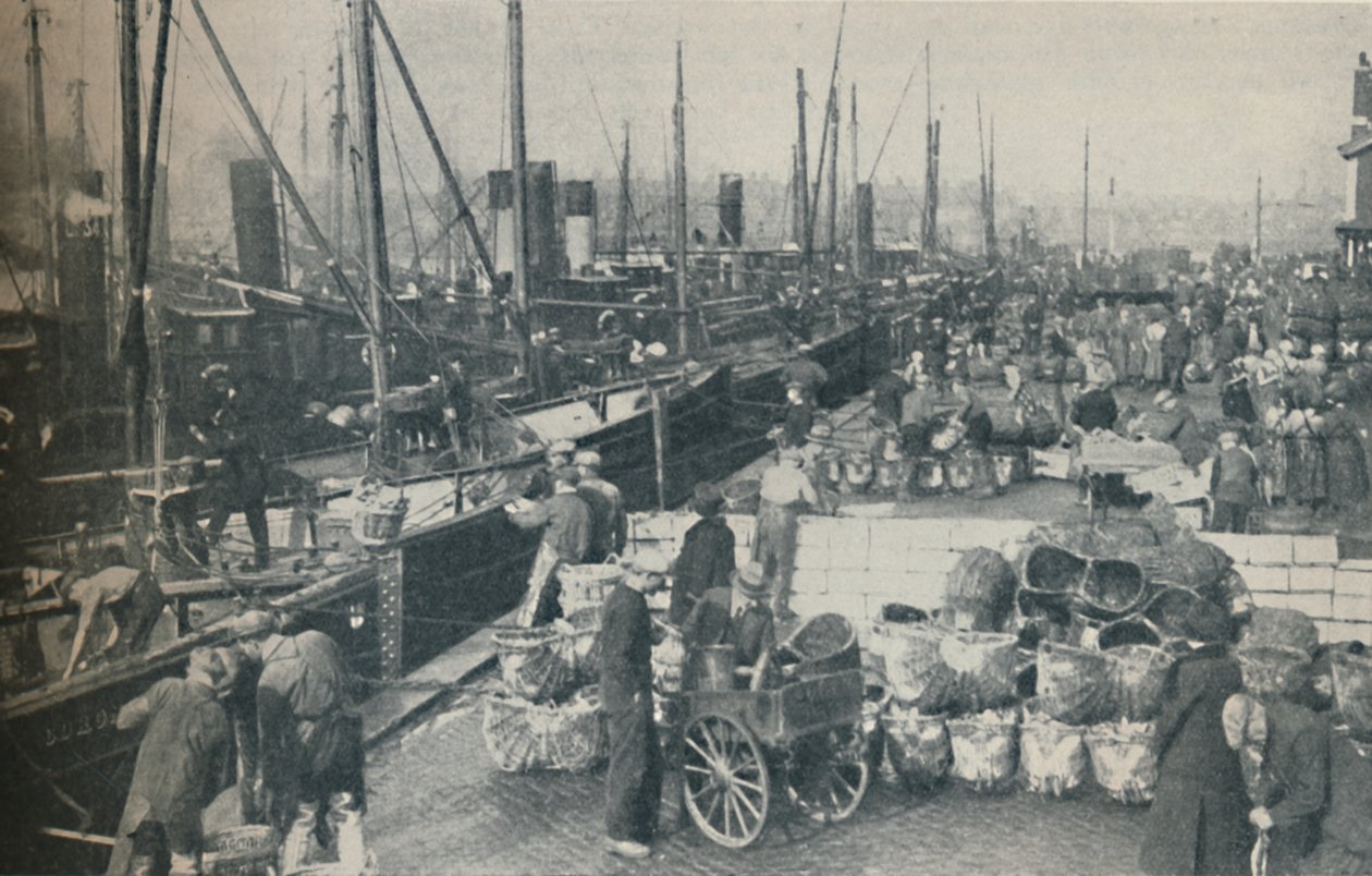 A estação do arenque em pleno andamento, 1937 de Unbekannt