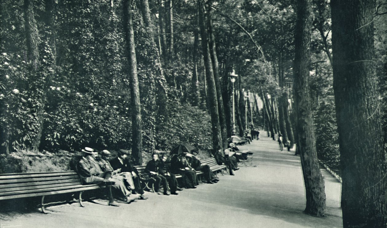 A caminhada dos inválidos, c1910 de Unbekannt