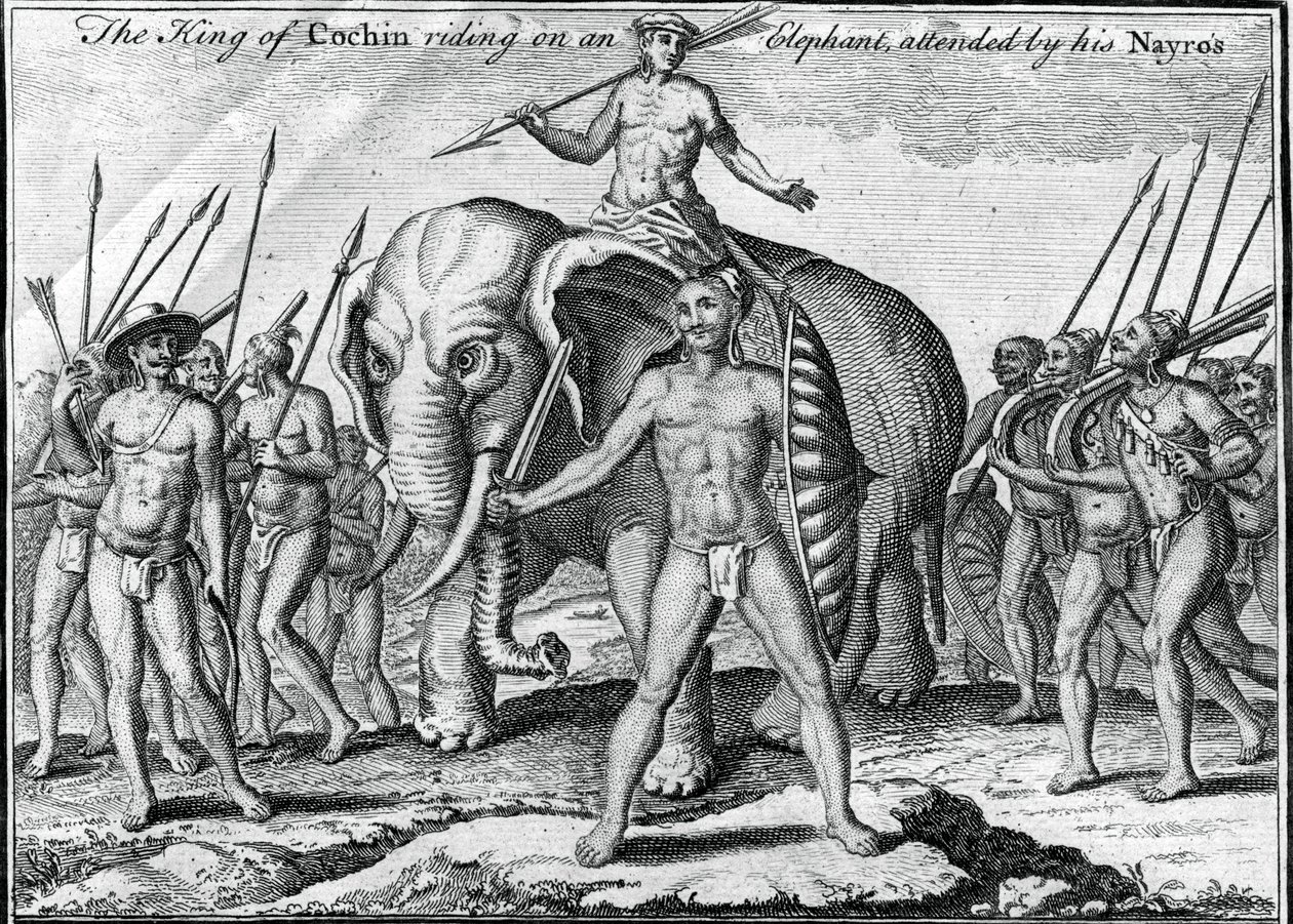 O rei de Cochim montado em um elefante, com a presença de seu Nayros, c1745 de Unbekannt