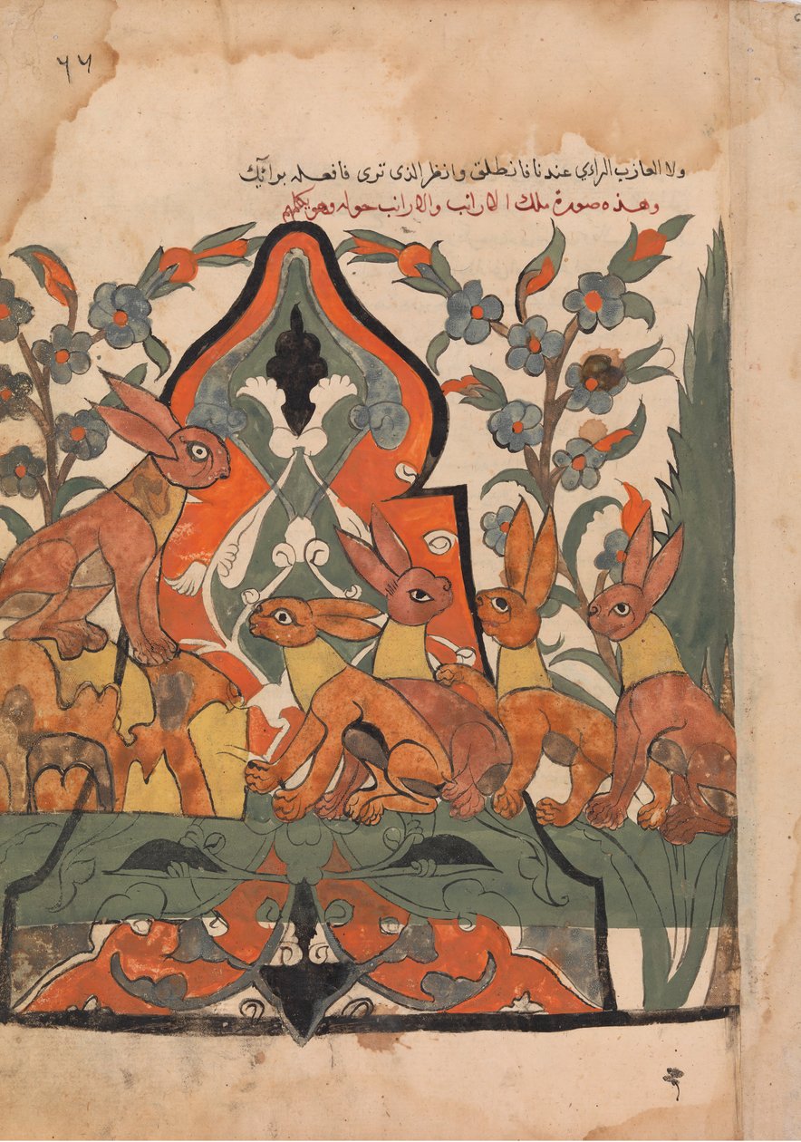 O Rei das lebres em conselho com seus súditos, Folio de uma Kalila wa Dimna, século XVIII. de Unbekannt