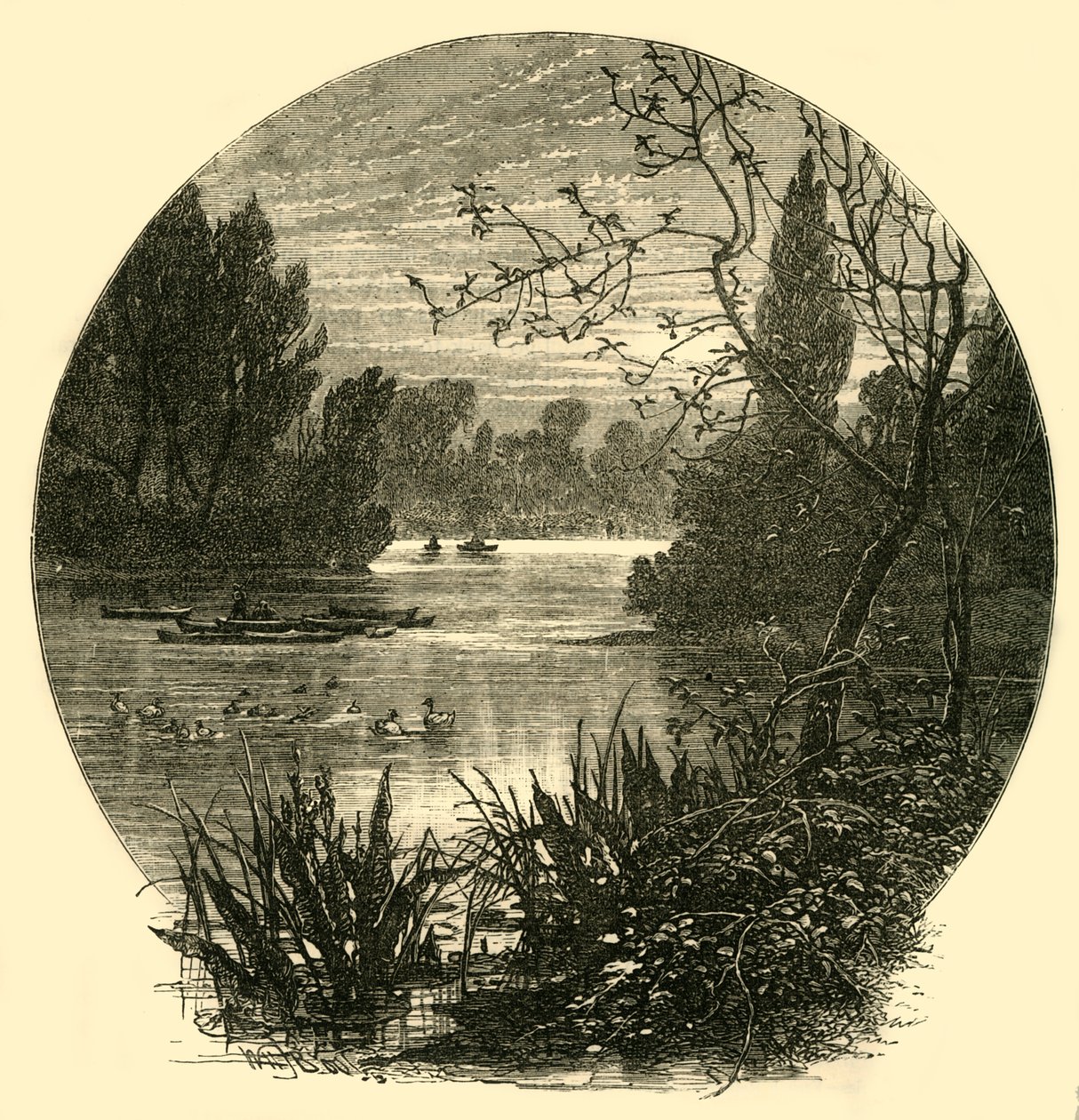O lago, Battersea Park, c1878. de Unbekannt