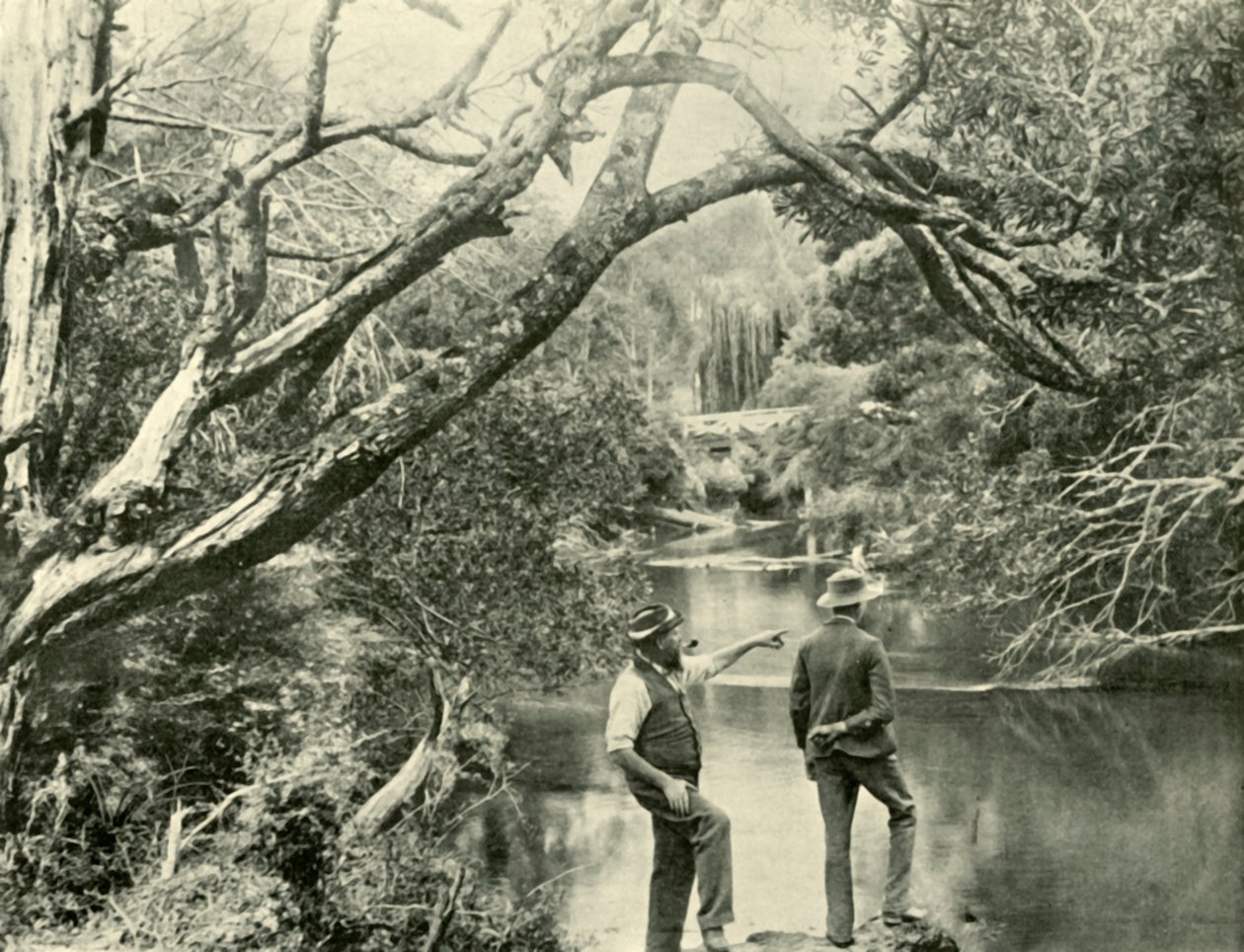 O local de lançamento, Upper Yarra, Victoria, 1901. de Unbekannt