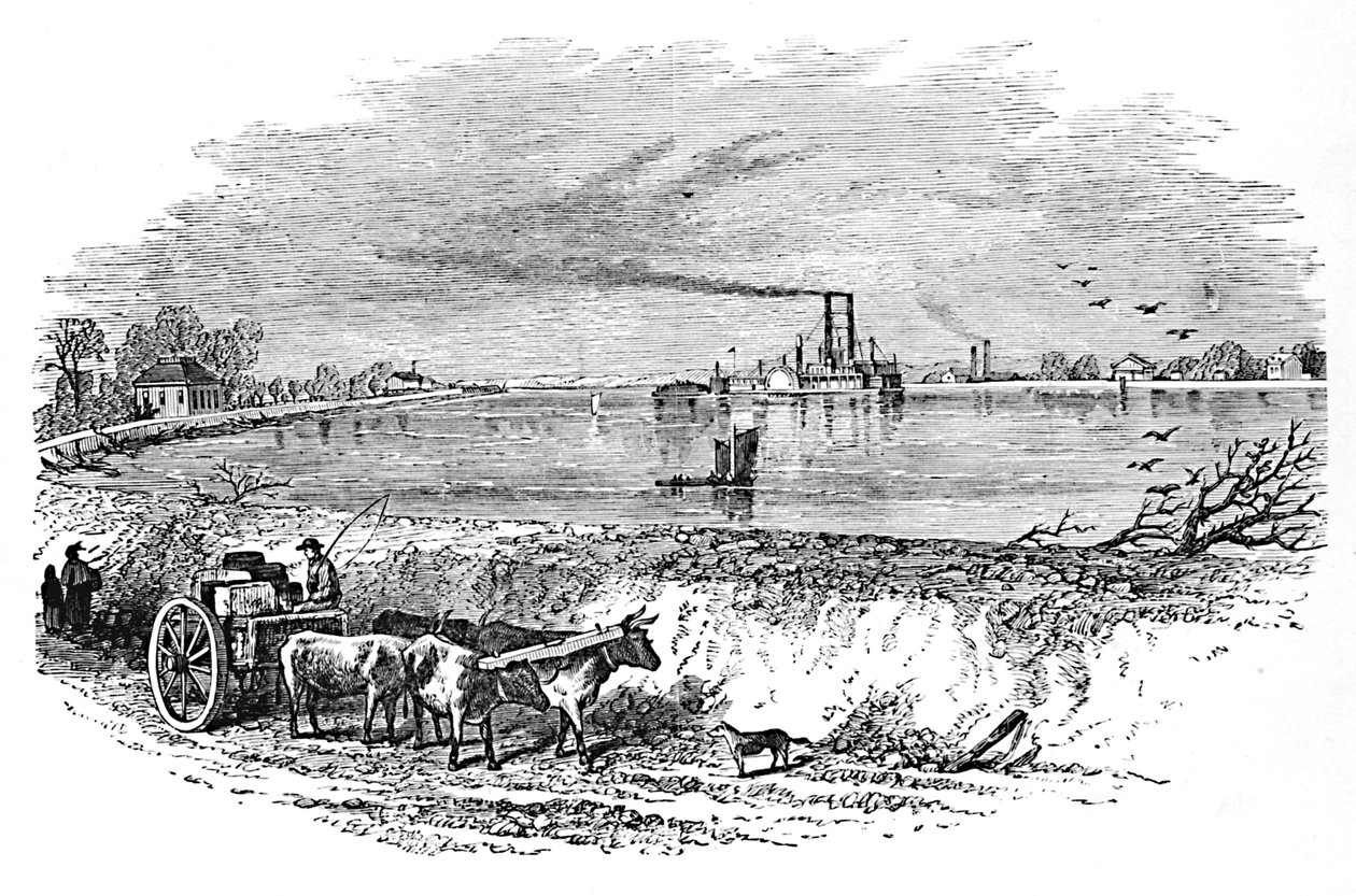 O dique, 1883 de Unbekannt