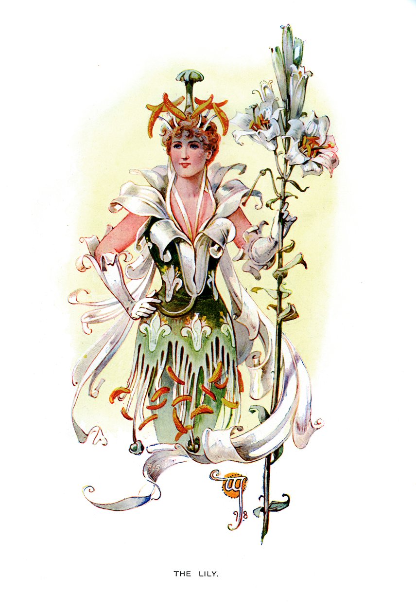 O lírio, 1899 de Unbekannt