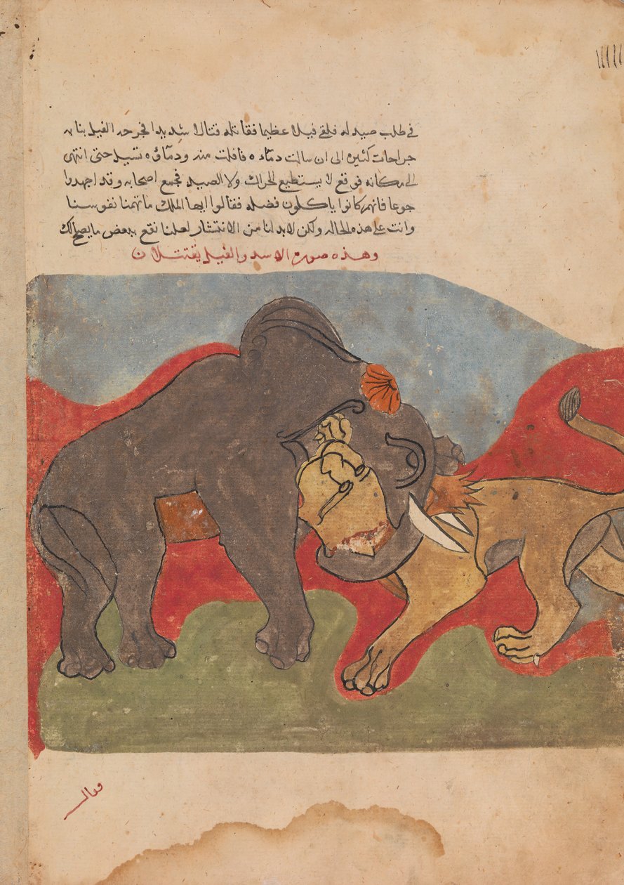 O Leão e o Elefante Lutando, Fólio de um Kalila wa Dimna, século XVIII. de Unbekannt