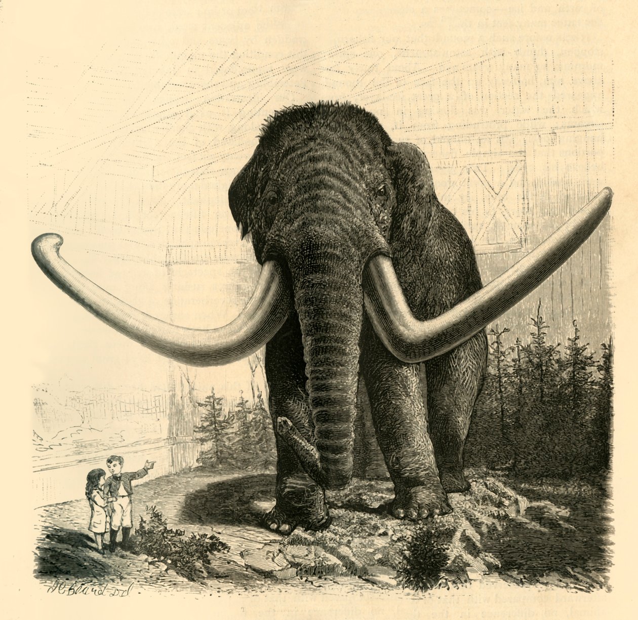 O Mamute de São Petersburgo, 1883. de Unbekannt