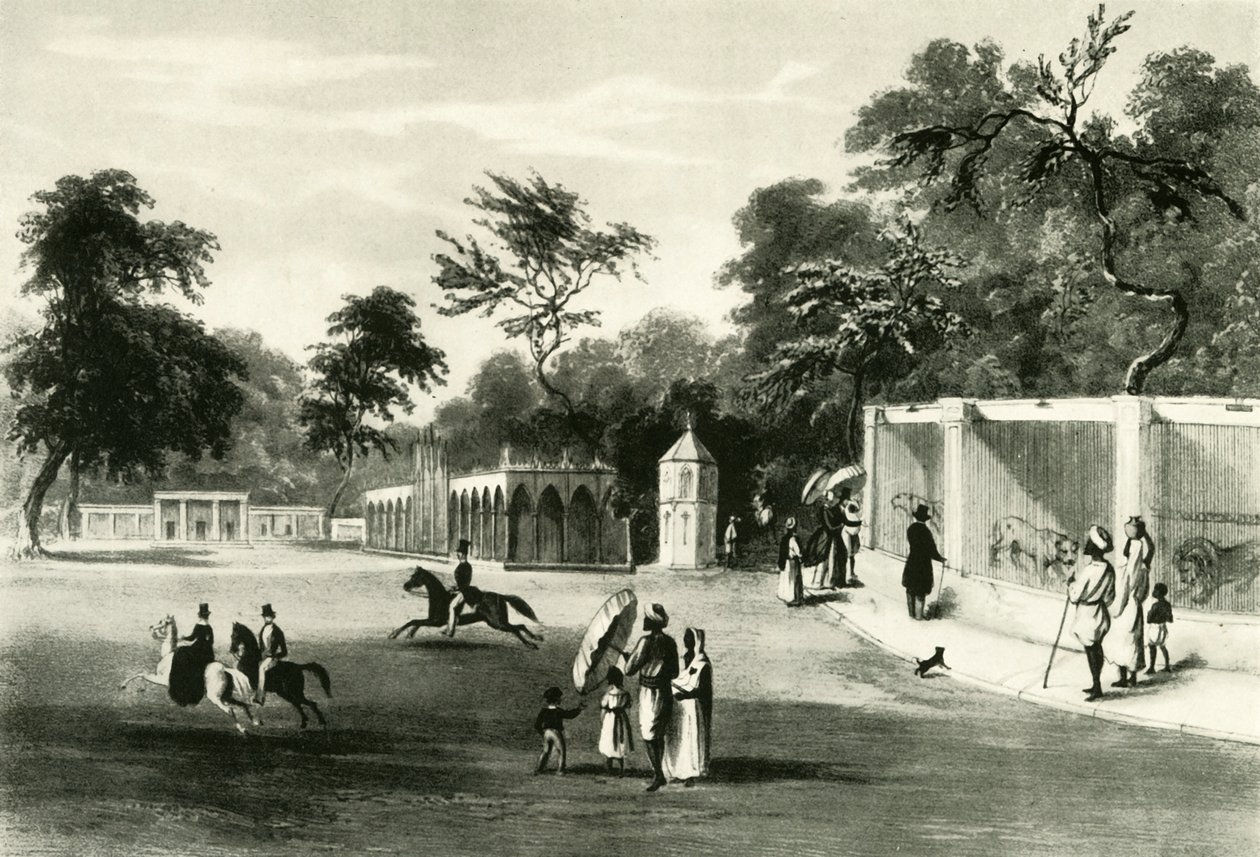 O zoológico no parque Barrackpore, 1820, 1925. de Unbekannt