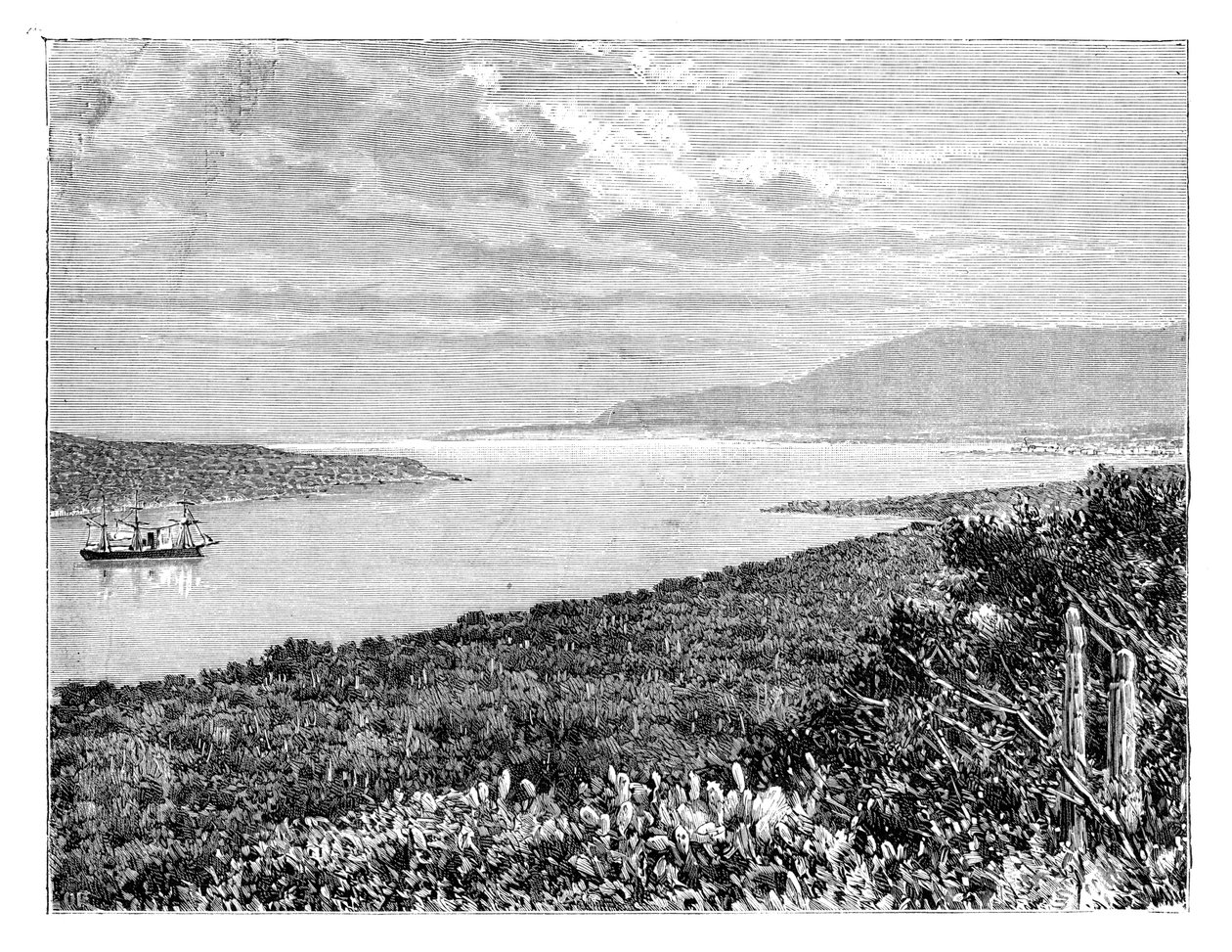 Península Môle St Nicolas, Haiti, c1890 de Unbekannt