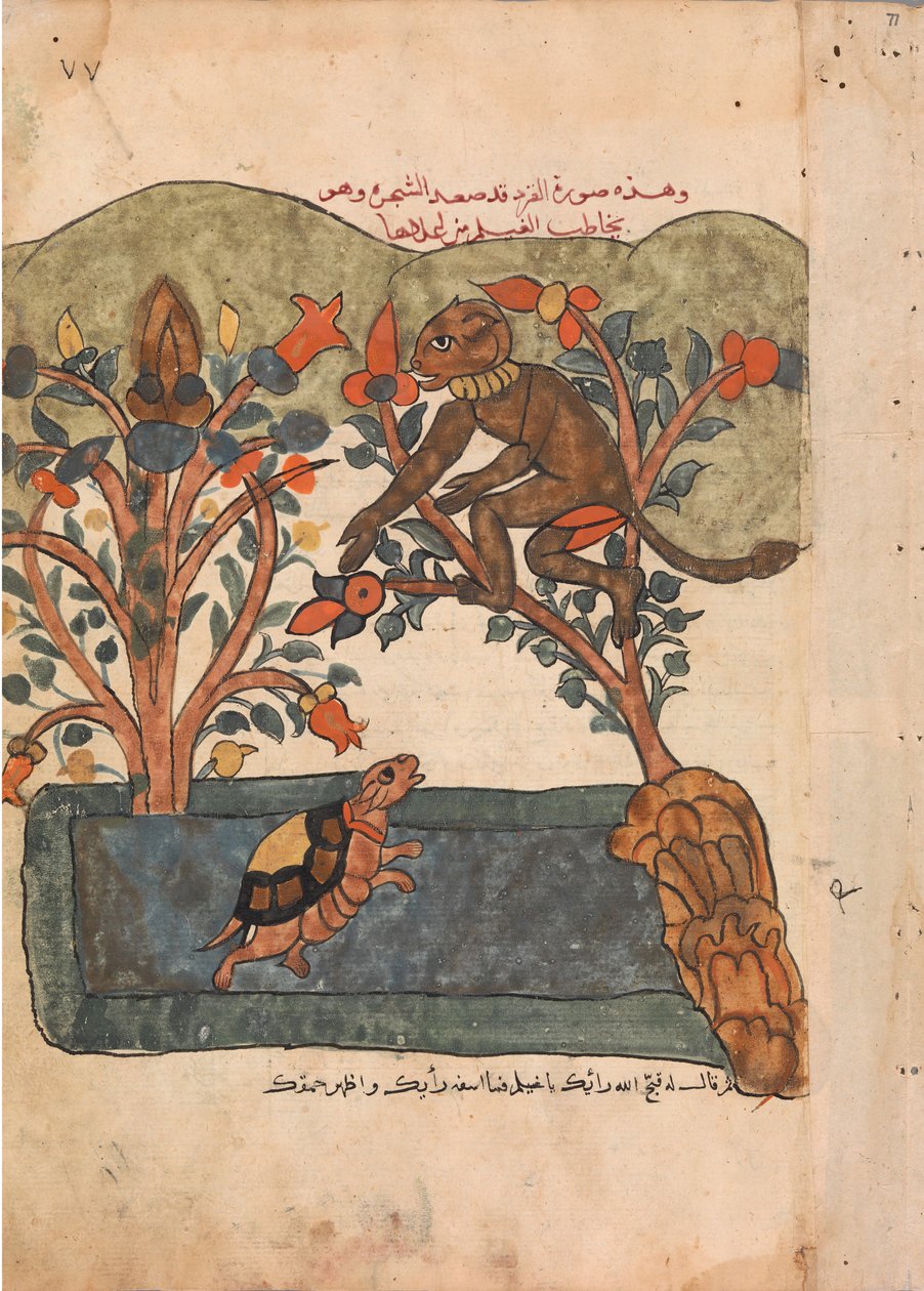 O Macaco Escapa para a Segurança da Figueira, Folio de uma Kalila wa Dimna, século XVIII. de Unbekannt
