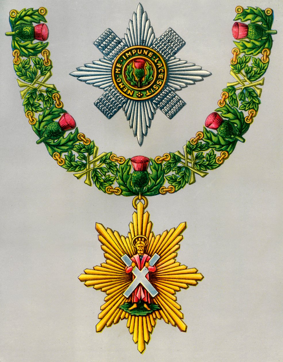 A ordem mais nobre e mais antiga do cardo, 1941 de Unbekannt