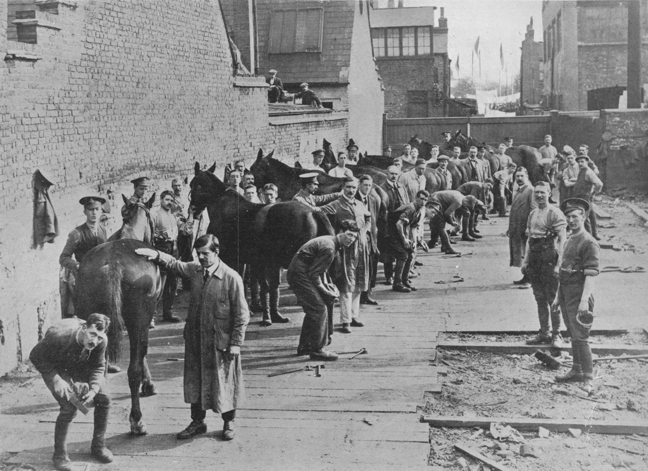 O Novo Exército em treinamento na Farriers School, 1915 de Unbekannt