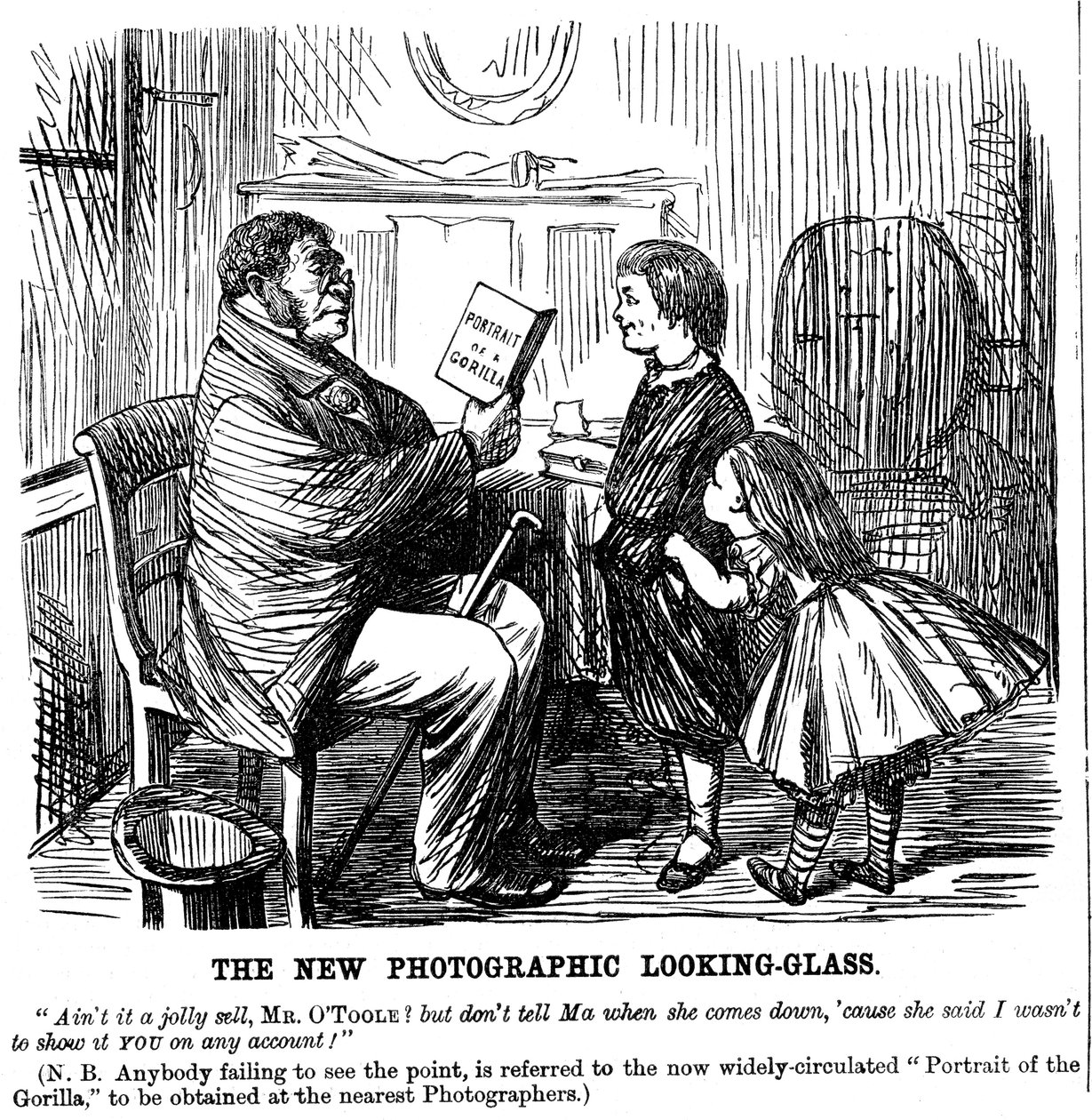 O novo espelho fotográfico, cartum de Punch, prova diária das origens do homem, 1861 de Unbekannt