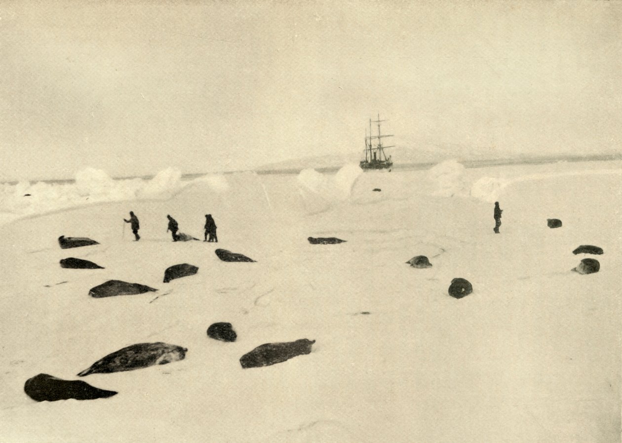 O Nimrod em Pram Point em 4 de março de 1909 de Unbekannt