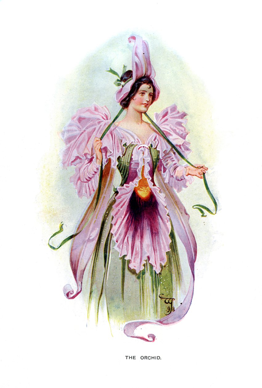 A Orquídea, 1899 de Unbekannt
