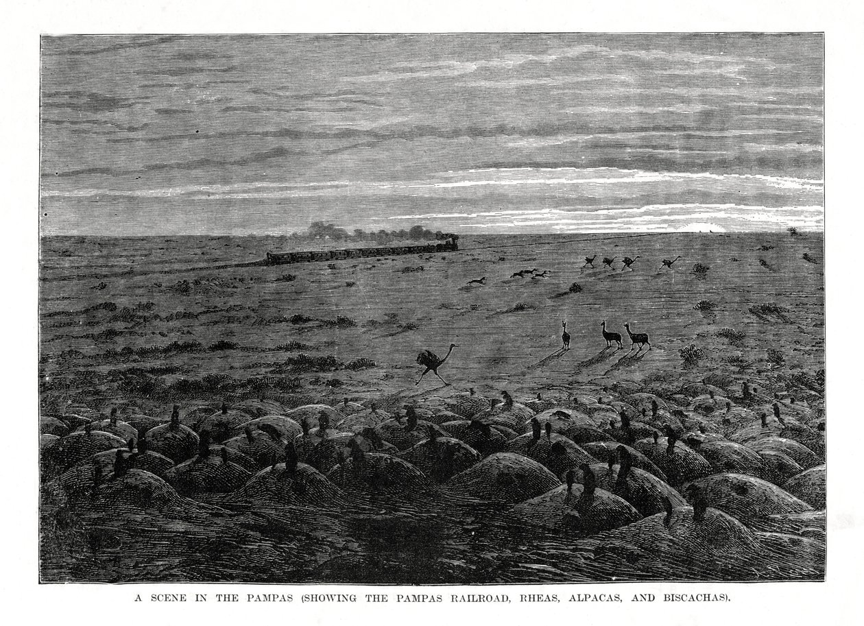 Ferrovia dos Pampas, planície sul-americana, 1877 de Unbekannt