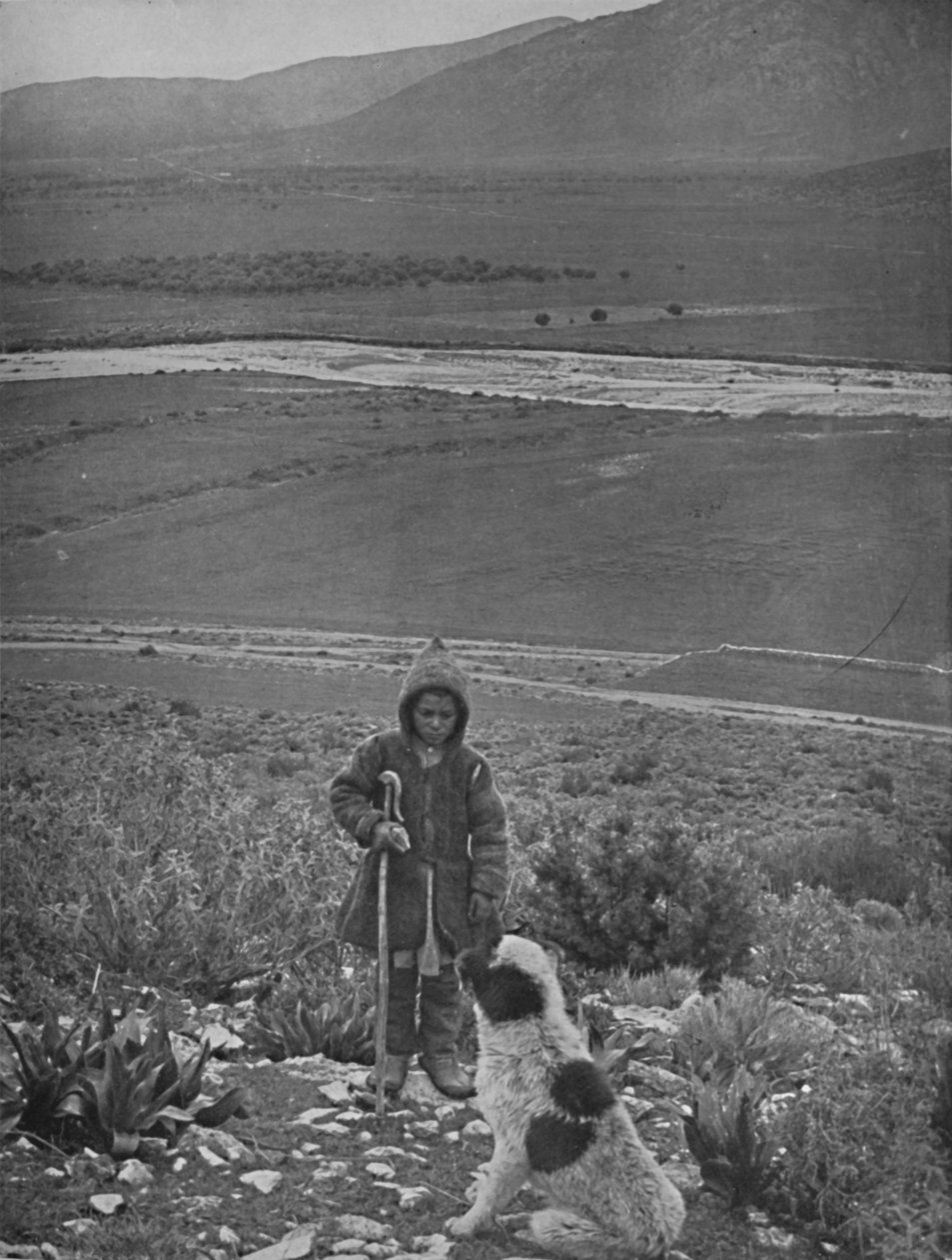 A planície da maratona, 1913 de Unbekannt