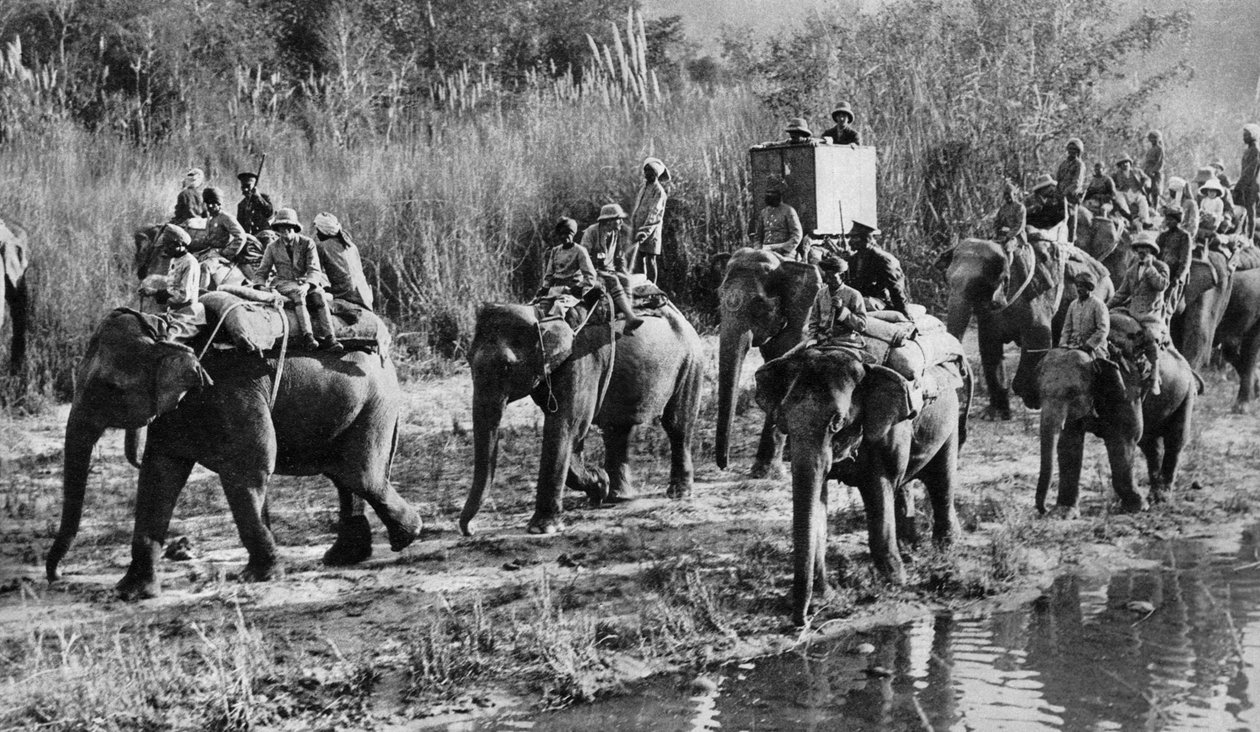 O tigre do Príncipe de Gales atirando na Índia, 1921 de Unbekannt