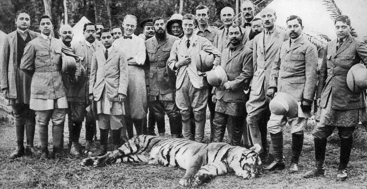 O tigre do Príncipe de Gales atirando no Nepal, o Indian Tour, 1921 de Unbekannt