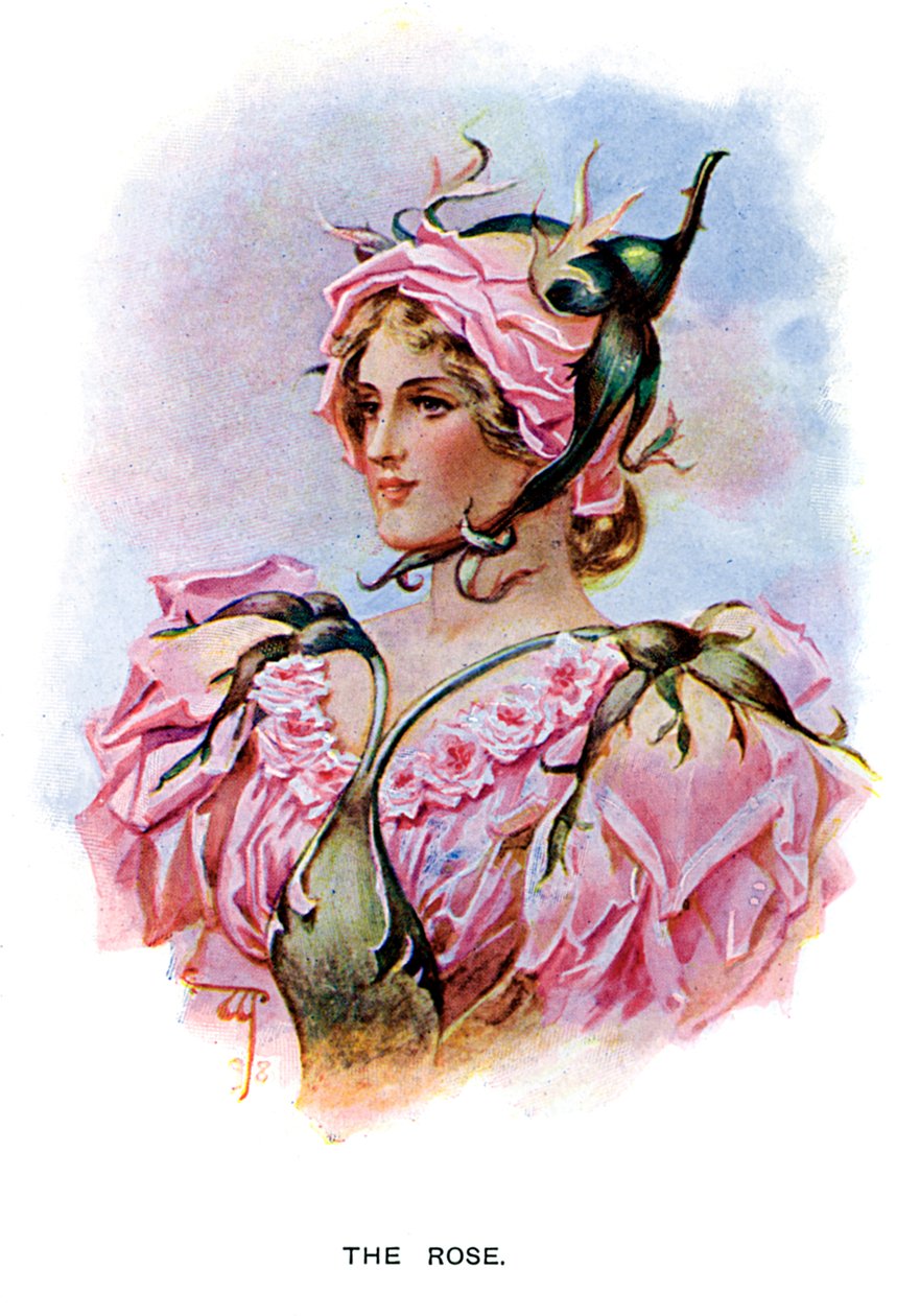 A Rosa, 1899 de Unbekannt