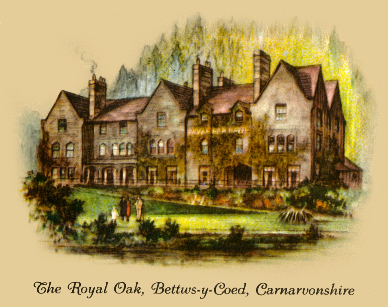 O carvalho real, Bettws-y-Coed, Carnavonshire, 1936. de Unbekannt