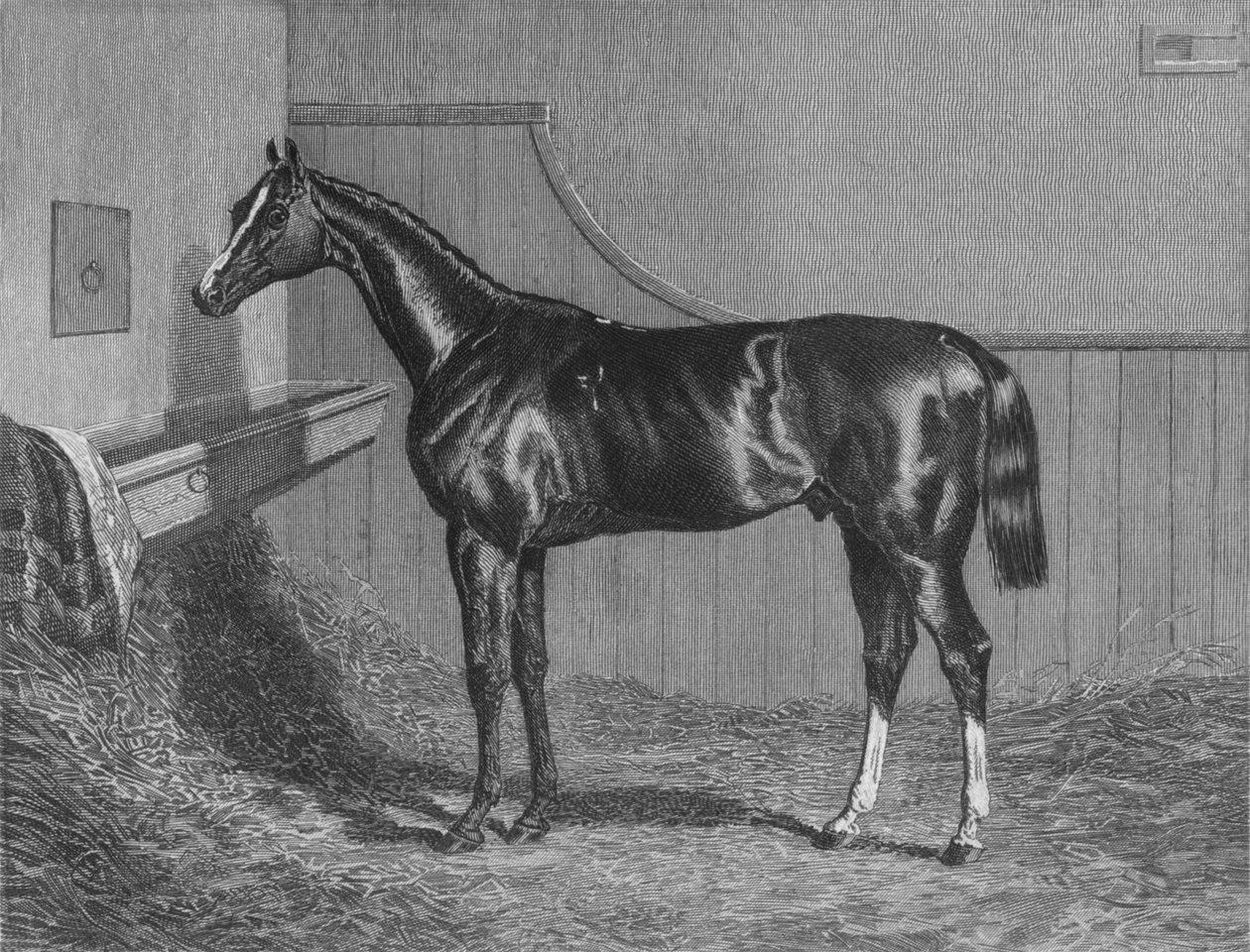 The Rt. Hon. O conde de Lichfields Elis. Vencedor do St. Leger 1836, 1911 de Unbekannt