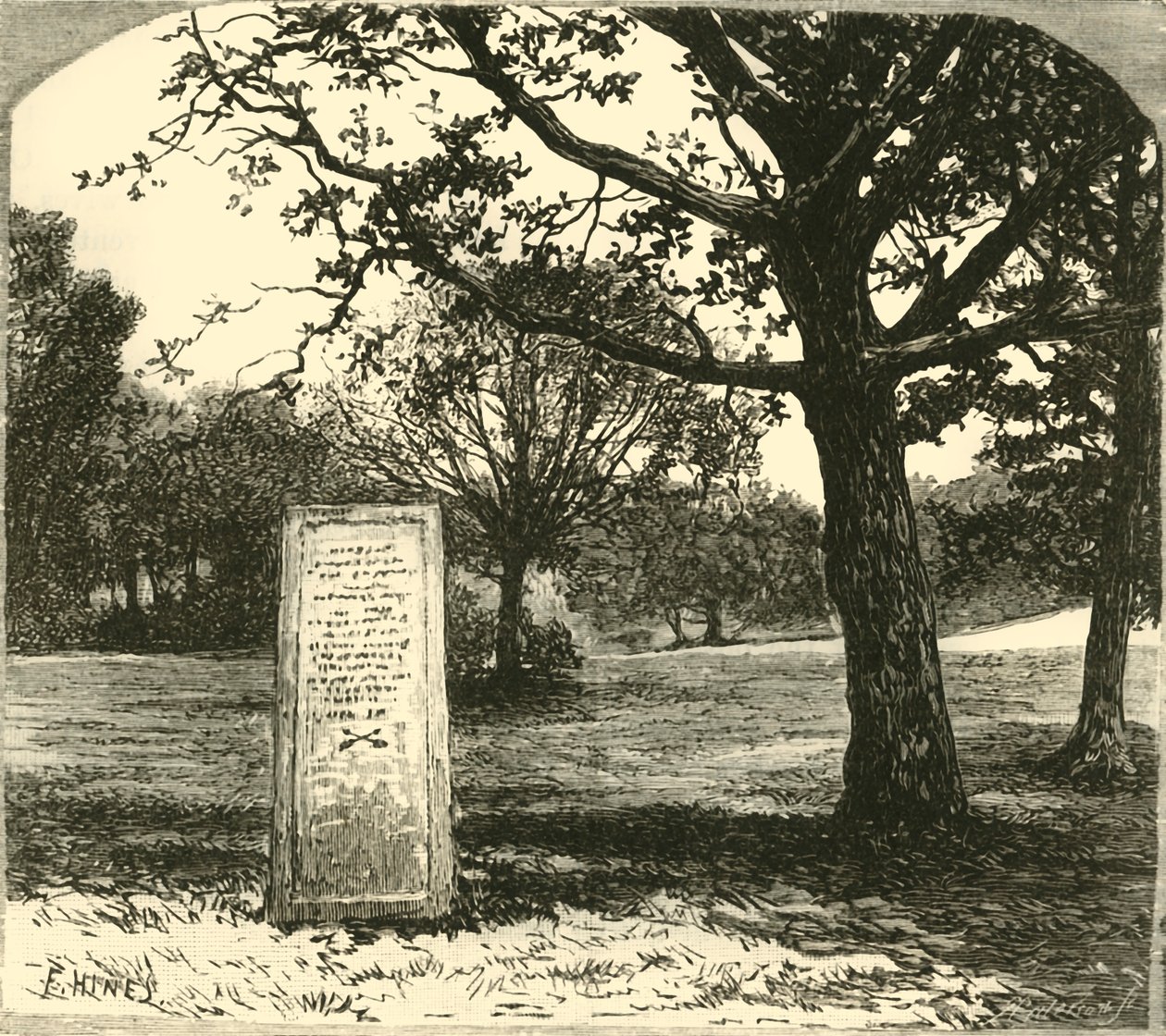 A Pedra Rufus na Floresta Nova, 1890. de Unbekannt