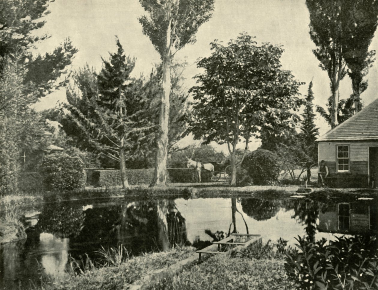 The Salmon Ponds, Nova Norfolk, 1901. de Unbekannt