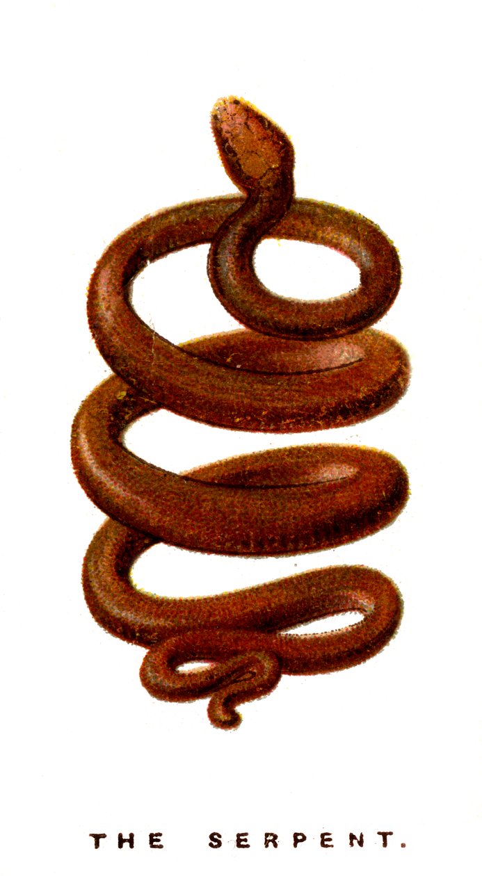 A serpente, 1923 de Unbekannt