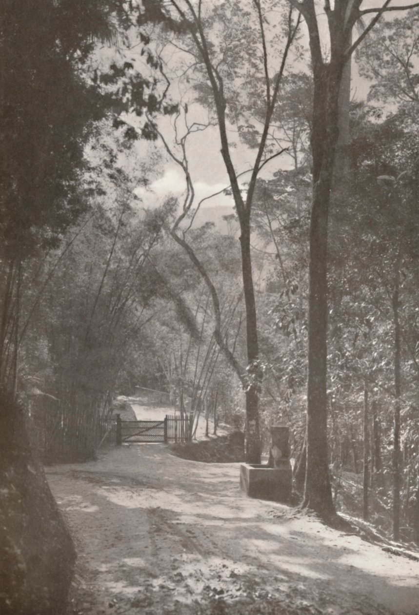 O Espírito da Tijuca, 1914 de Unbekannt