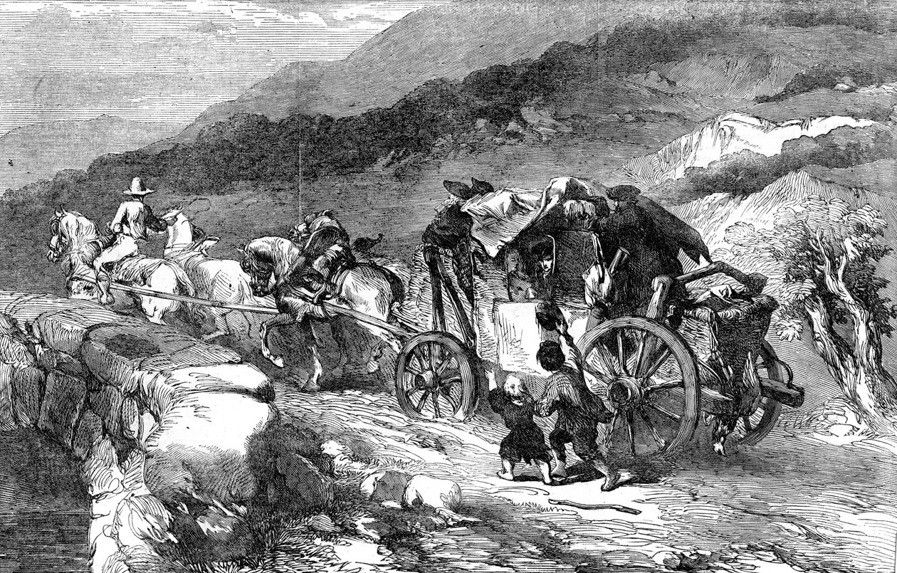 O treinador de palco do século passado, 1855 de Unbekannt