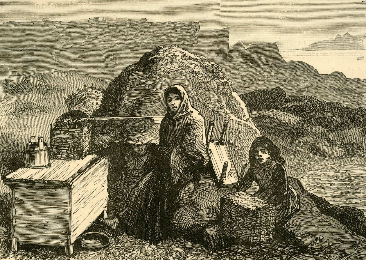 O estado da Irlanda: uma família despejada perto de Errismore, c1880. de Unbekannt