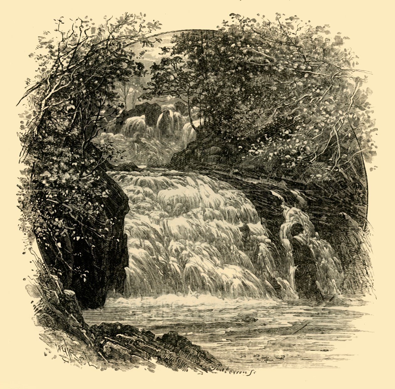 A andorinha cai, 1898. de Unbekannt