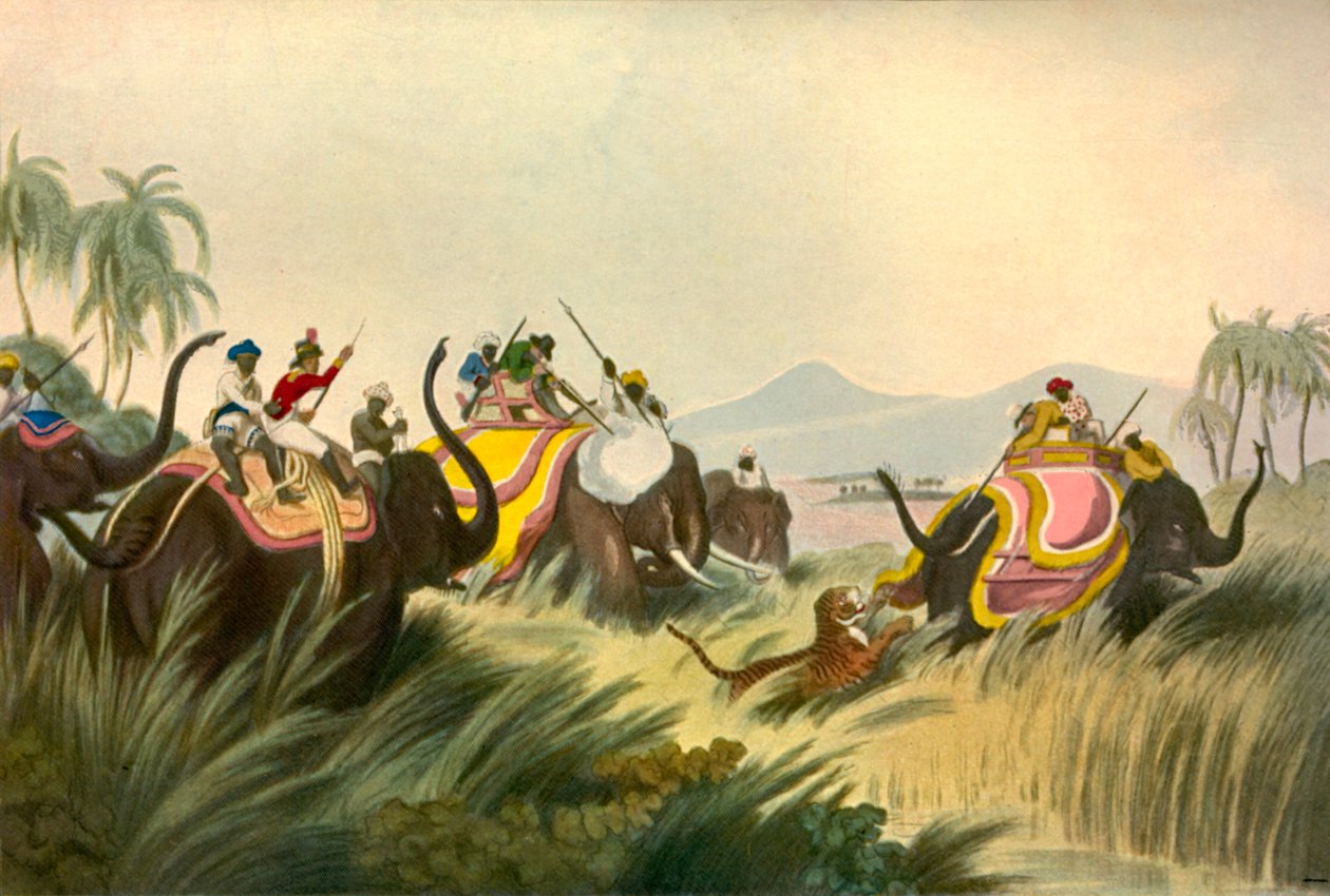 A caça ao tigre, c1808, 1901. de Unbekannt