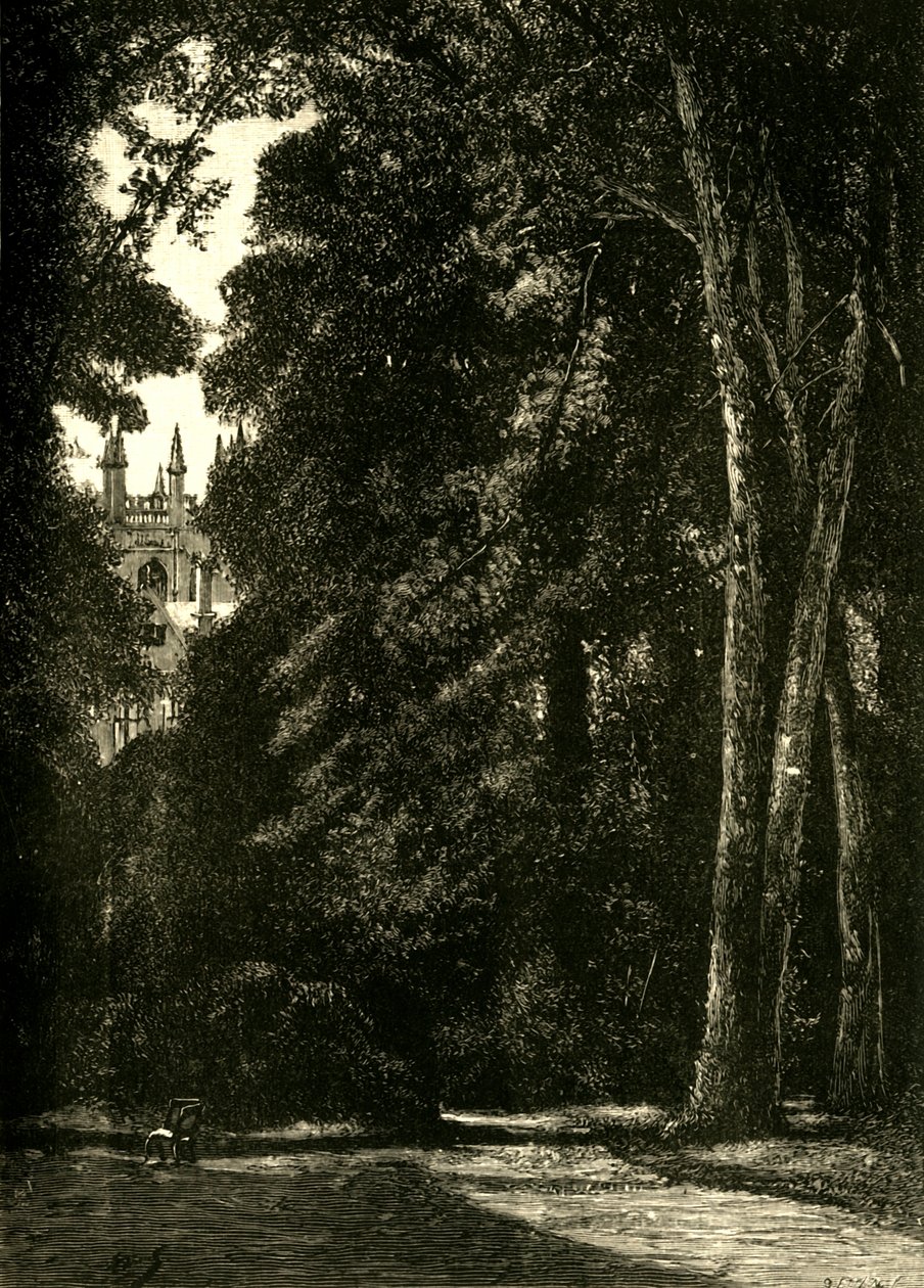 A Torre de Merton, do Jardim, 1898. de Unbekannt