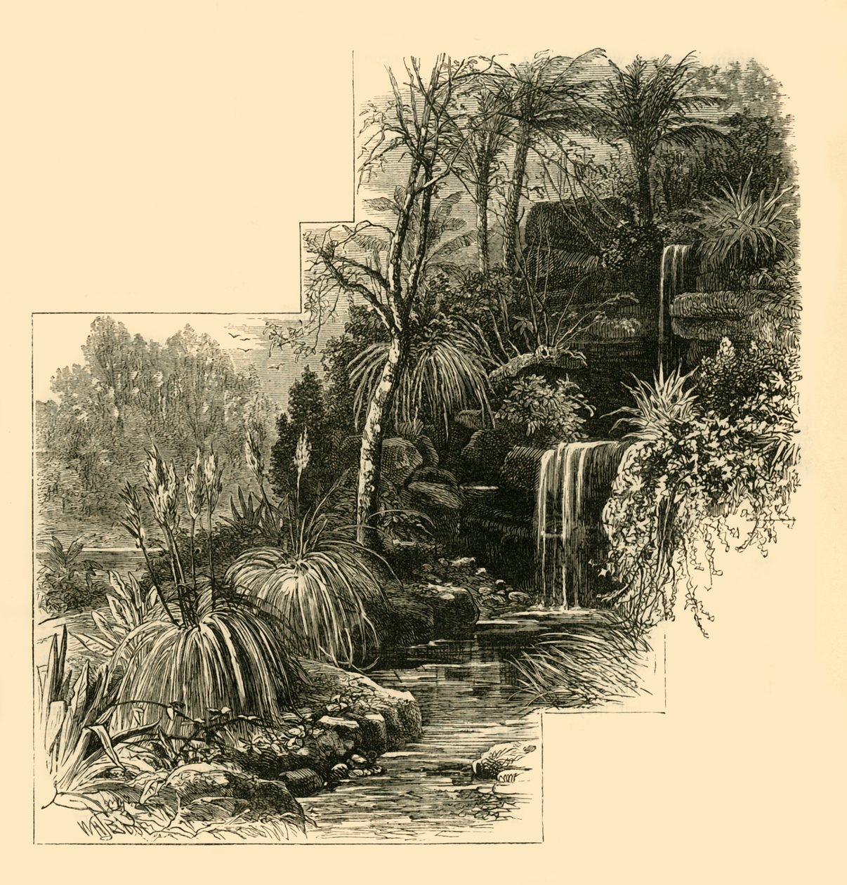 Os jardins tropicais, Battersea Park, c1878. de Unbekannt