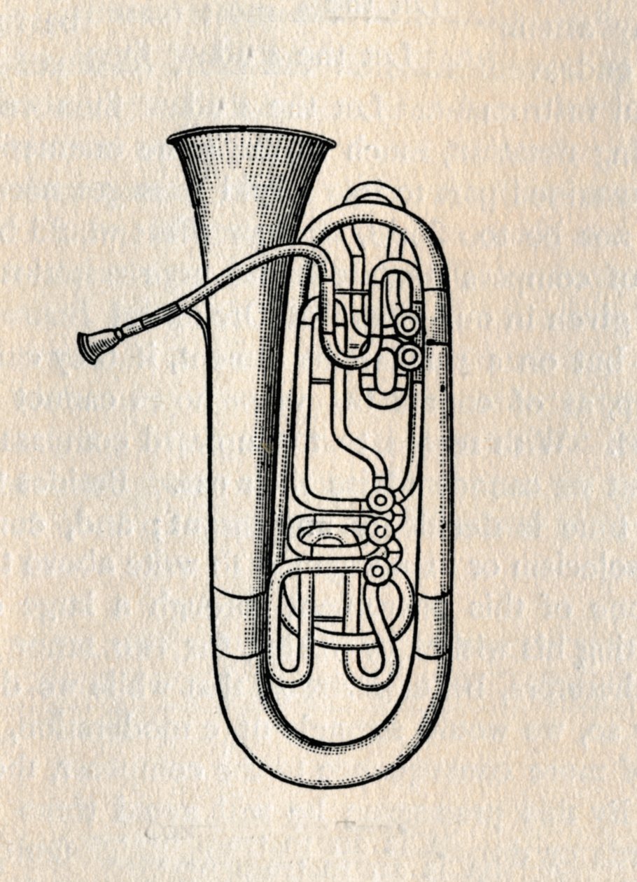 A tuba - contra a tuba baixa, 1895. de Unbekannt
